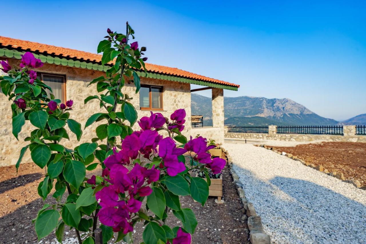 Villa Teras Adrasan Exterior photo