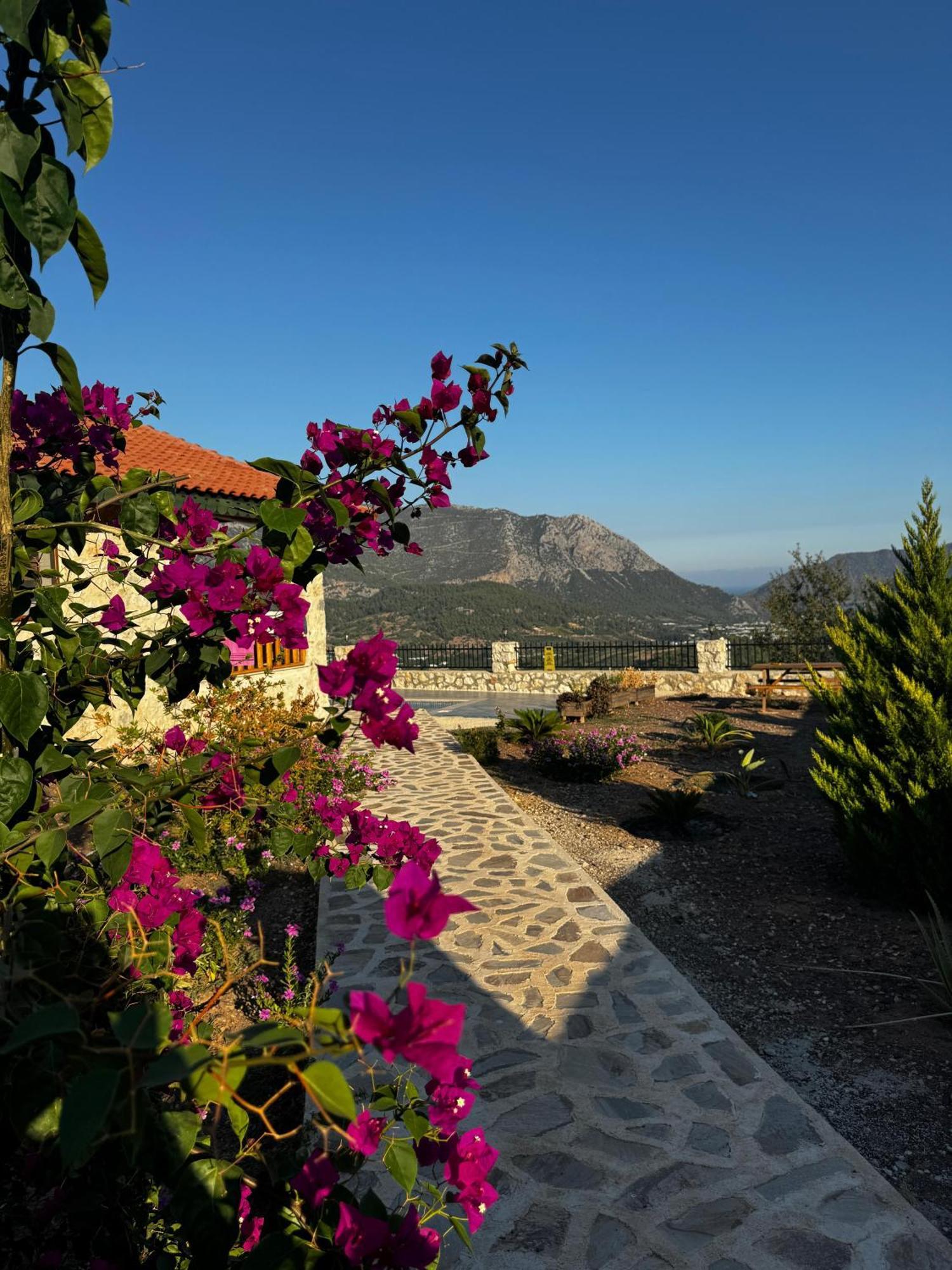 Villa Teras Adrasan Exterior photo